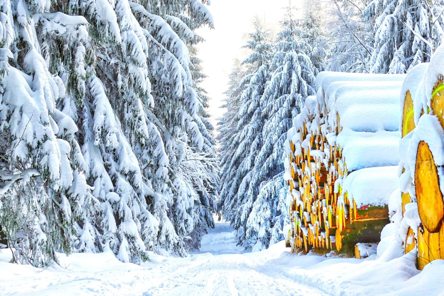 märchenhafter Winterwald